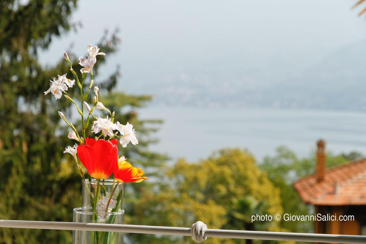 Lake Como Peace Lodge - Casa della Pace Menaggio Exterior foto